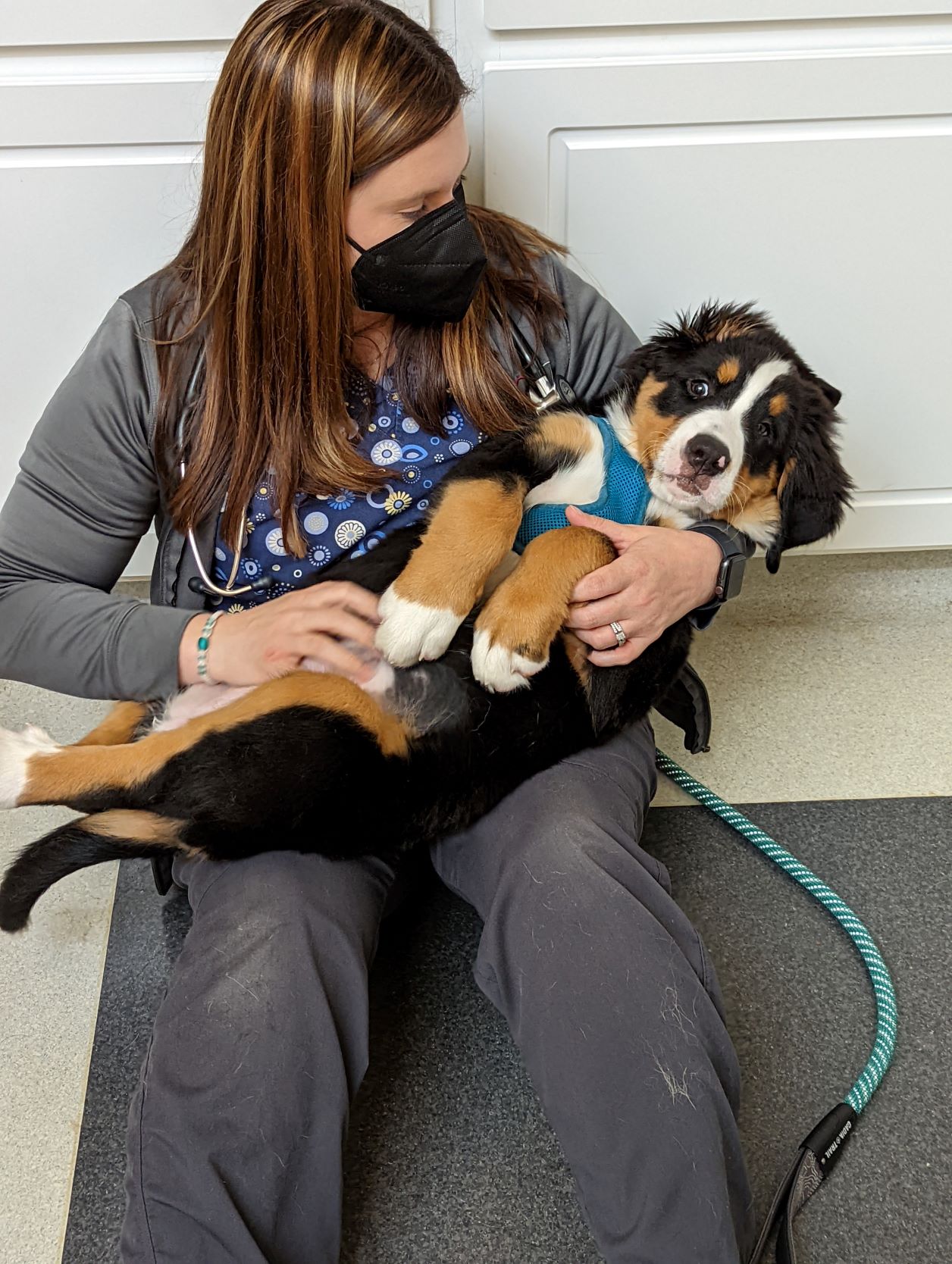Dr. McMurray puppy time